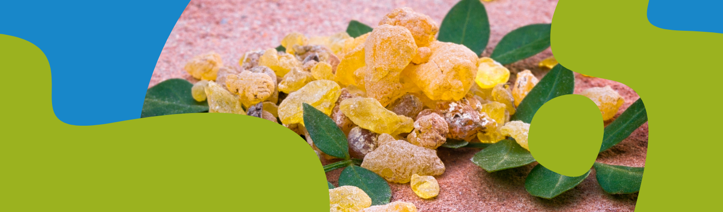 Boswellia Serrata Benefits and Uses