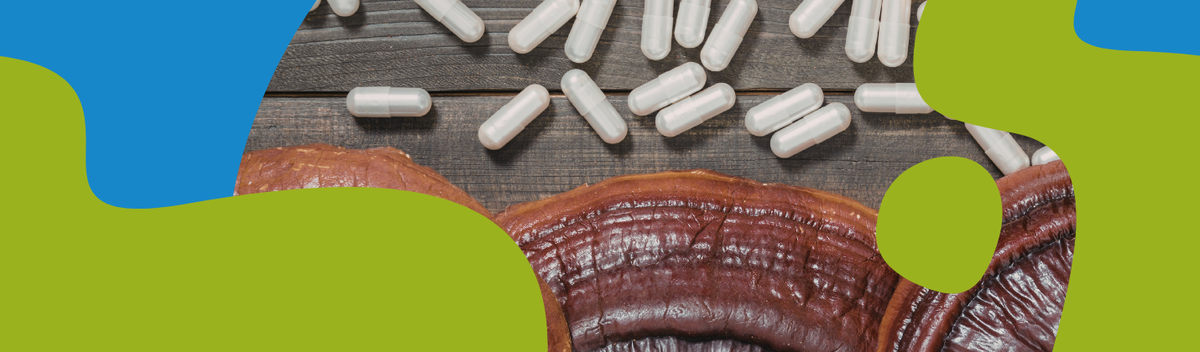 Reishi Mushroom Benefits and Properties