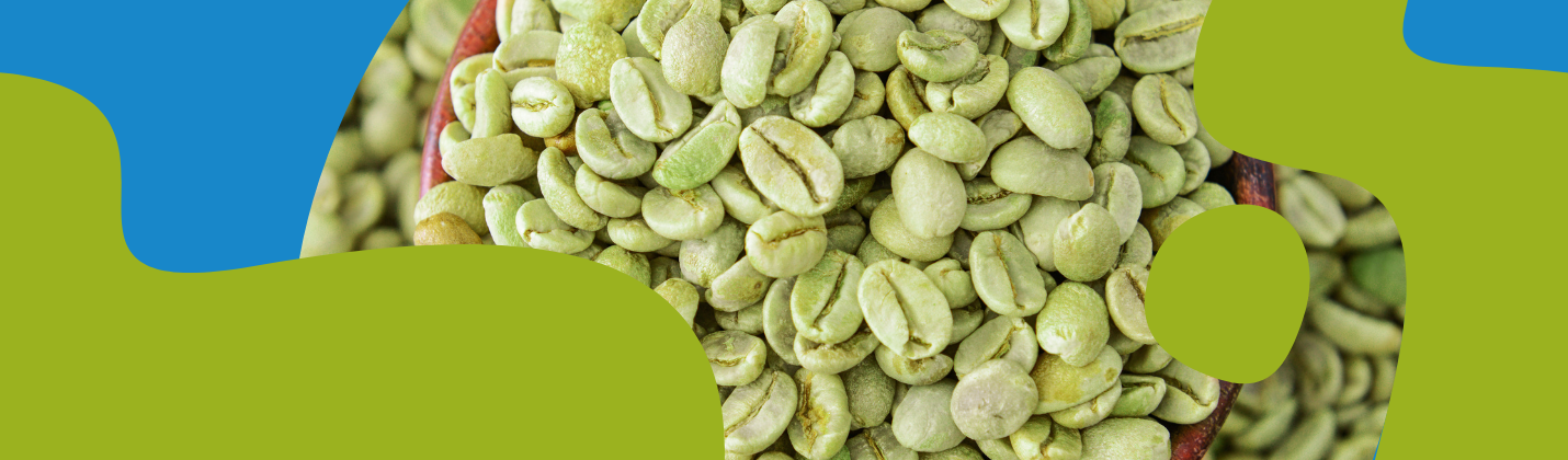 Green Coffee: Benefits, Effects & Supplements
