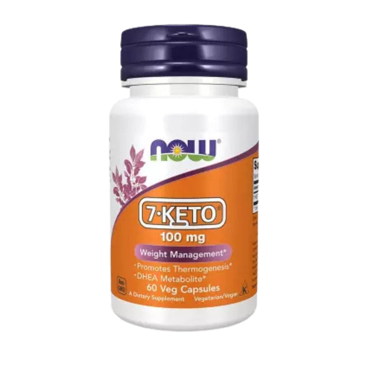 Now Foods 7-Keto 100 mg - 60 Capsules